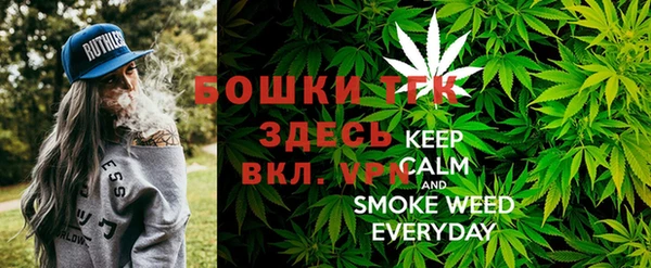 сатива Абаза