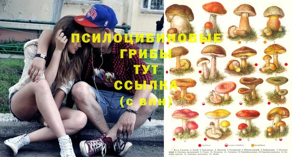 сатива Абаза