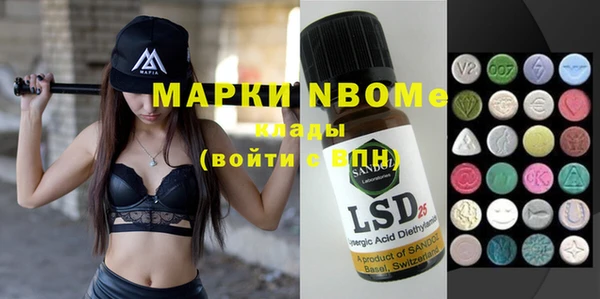 шишки Алексин