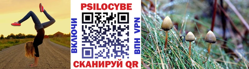 Галлюциногенные грибы Psilocybine cubensis  наркота  Кызыл 